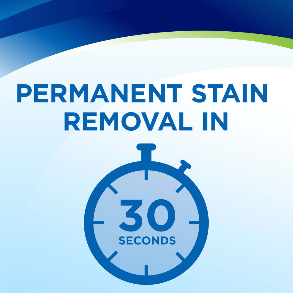 Woolite® INSTAclean® Pet Carpet Cleaner Formula 20581